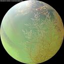 ./images/calvert/underwater/20260802/underwater20260802_183001M.jpg