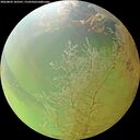 ./images/calvert/underwater/20260802/underwater20260802_183501M.jpg