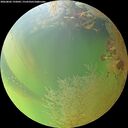 ./images/calvert/underwater/20260802/underwater20260802_192002M.jpg