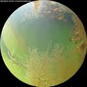 ./images/calvert/underwater/20260802/underwater20260802_192501M.jpg