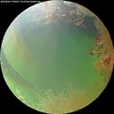 ./images/calvert/underwater/20260802/underwater20260802_194001M.jpg