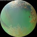 ./images/calvert/underwater/20260802/underwater20260802_201001M.jpg