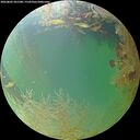./images/calvert/underwater/20260802/underwater20260802_201501M.jpg