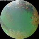 ./images/calvert/underwater/20260802/underwater20260802_202001M.jpg