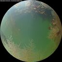 ./images/calvert/underwater/20260802/underwater20260802_205501M.jpg