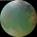 ./images/calvert/underwater/20260802/underwater20260802_210001M.jpg