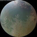 ./images/calvert/underwater/20260802/underwater20260802_211501M.jpg