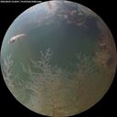 ./images/calvert/underwater/20260802/underwater20260802_212001M.jpg