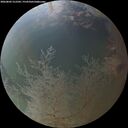 ./images/calvert/underwater/20260802/underwater20260802_212501M.jpg