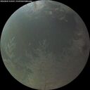 ./images/calvert/underwater/20260802/underwater20260802_214501M.jpg
