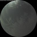 ./images/calvert/underwater/20260803/underwater20260803_053002M.jpg