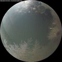 ./images/calvert/underwater/20260803/underwater20260803_054501M.jpg