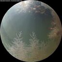 ./images/calvert/underwater/20260803/underwater20260803_060501M.jpg