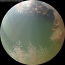 ./images/calvert/underwater/20260803/underwater20260803_062501M.jpg