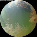 ./images/calvert/underwater/20260803/underwater20260803_064501M.jpg