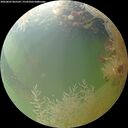 ./images/calvert/underwater/20260803/underwater20260803_065502M.jpg