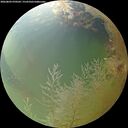 ./images/calvert/underwater/20260803/underwater20260803_070502M.jpg