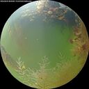 ./images/calvert/underwater/20260803/underwater20260803_082001M.jpg