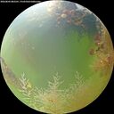 ./images/calvert/underwater/20260803/underwater20260803_082501M.jpg
