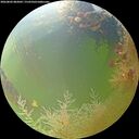 ./images/calvert/underwater/20260803/underwater20260803_083001M.jpg