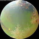./images/calvert/underwater/20260803/underwater20260803_084002M.jpg