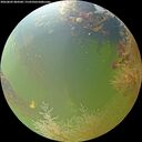 ./images/calvert/underwater/20260803/underwater20260803_084501M.jpg