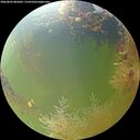./images/calvert/underwater/20260803/underwater20260803_085001M.jpg