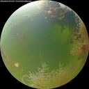 ./images/calvert/underwater/20260803/underwater20260803_091501M.jpg
