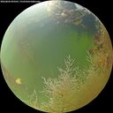 ./images/calvert/underwater/20260803/underwater20260803_093501M.jpg
