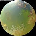 ./images/calvert/underwater/20260803/underwater20260803_095001M.jpg