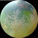 ./images/calvert/underwater/20260803/underwater20260803_100001M.jpg