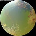 ./images/calvert/underwater/20260803/underwater20260803_102501M.jpg