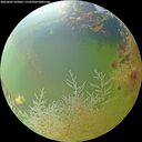 ./images/calvert/underwater/20260803/underwater20260803_103001M.jpg