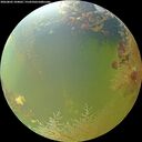 ./images/calvert/underwater/20260803/underwater20260803_104001M.jpg
