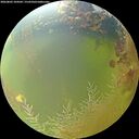 ./images/calvert/underwater/20260803/underwater20260803_104502M.jpg
