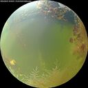 ./images/calvert/underwater/20260803/underwater20260803_105001M.jpg