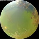 ./images/calvert/underwater/20260803/underwater20260803_105502M.jpg