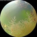 ./images/calvert/underwater/20260803/underwater20260803_110001M.jpg