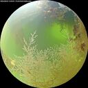 ./images/calvert/underwater/20260803/underwater20260803_110501M.jpg