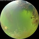 ./images/calvert/underwater/20260803/underwater20260803_111001M.jpg