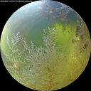 ./images/calvert/underwater/20260803/underwater20260803_112501M.jpg