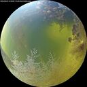 ./images/calvert/underwater/20260803/underwater20260803_113001M.jpg