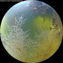 ./images/calvert/underwater/20260803/underwater20260803_113501M.jpg