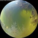 ./images/calvert/underwater/20260803/underwater20260803_114001M.jpg
