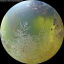 ./images/calvert/underwater/20260803/underwater20260803_114501M.jpg