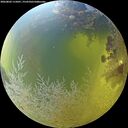 ./images/calvert/underwater/20260803/underwater20260803_115001M.jpg