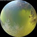 ./images/calvert/underwater/20260803/underwater20260803_120001M.jpg