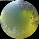./images/calvert/underwater/20260803/underwater20260803_120502M.jpg