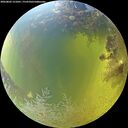 ./images/calvert/underwater/20260803/underwater20260803_121001M.jpg