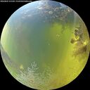 ./images/calvert/underwater/20260803/underwater20260803_121501M.jpg